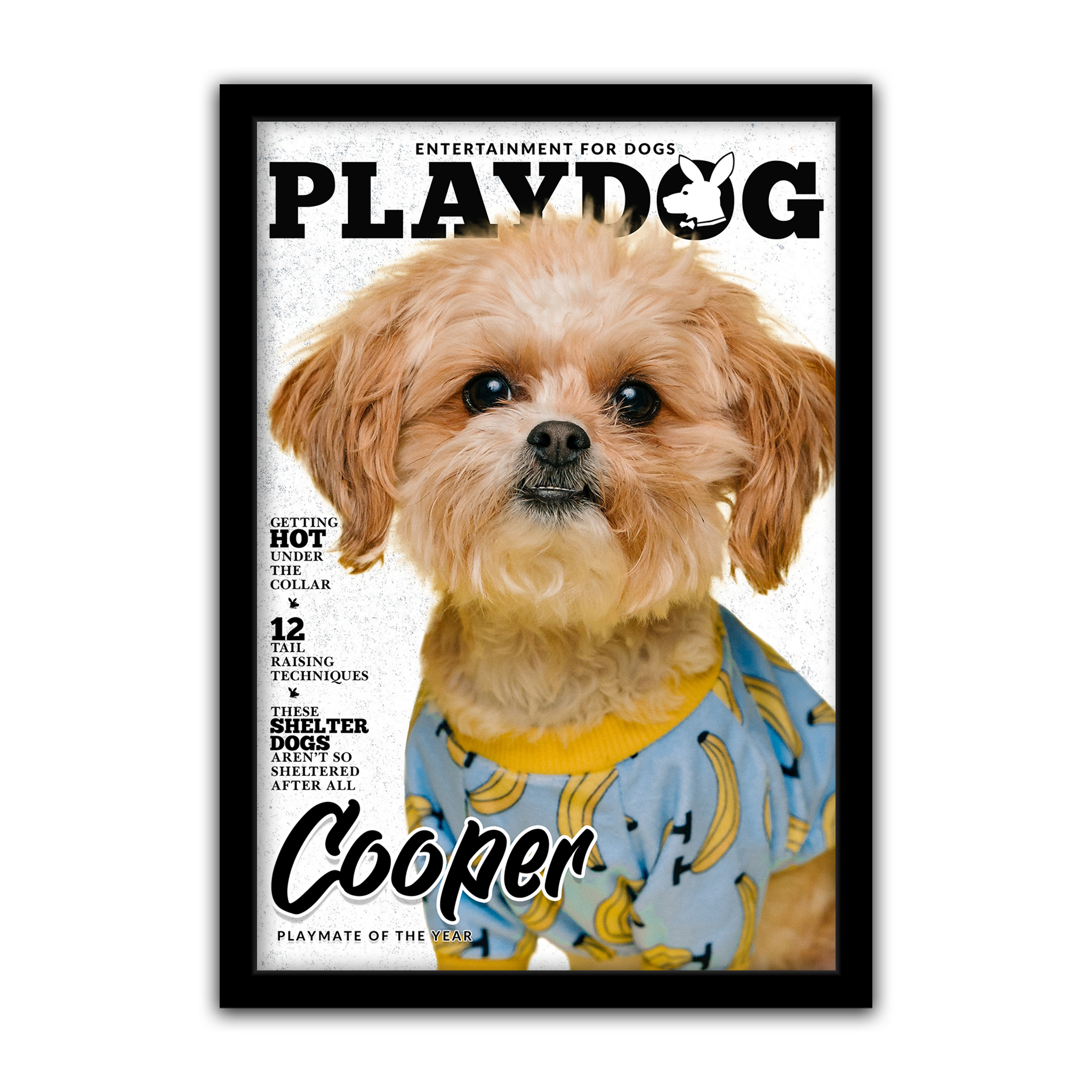 Playdog - Custom Dog Magazine – My Perfect Poster
