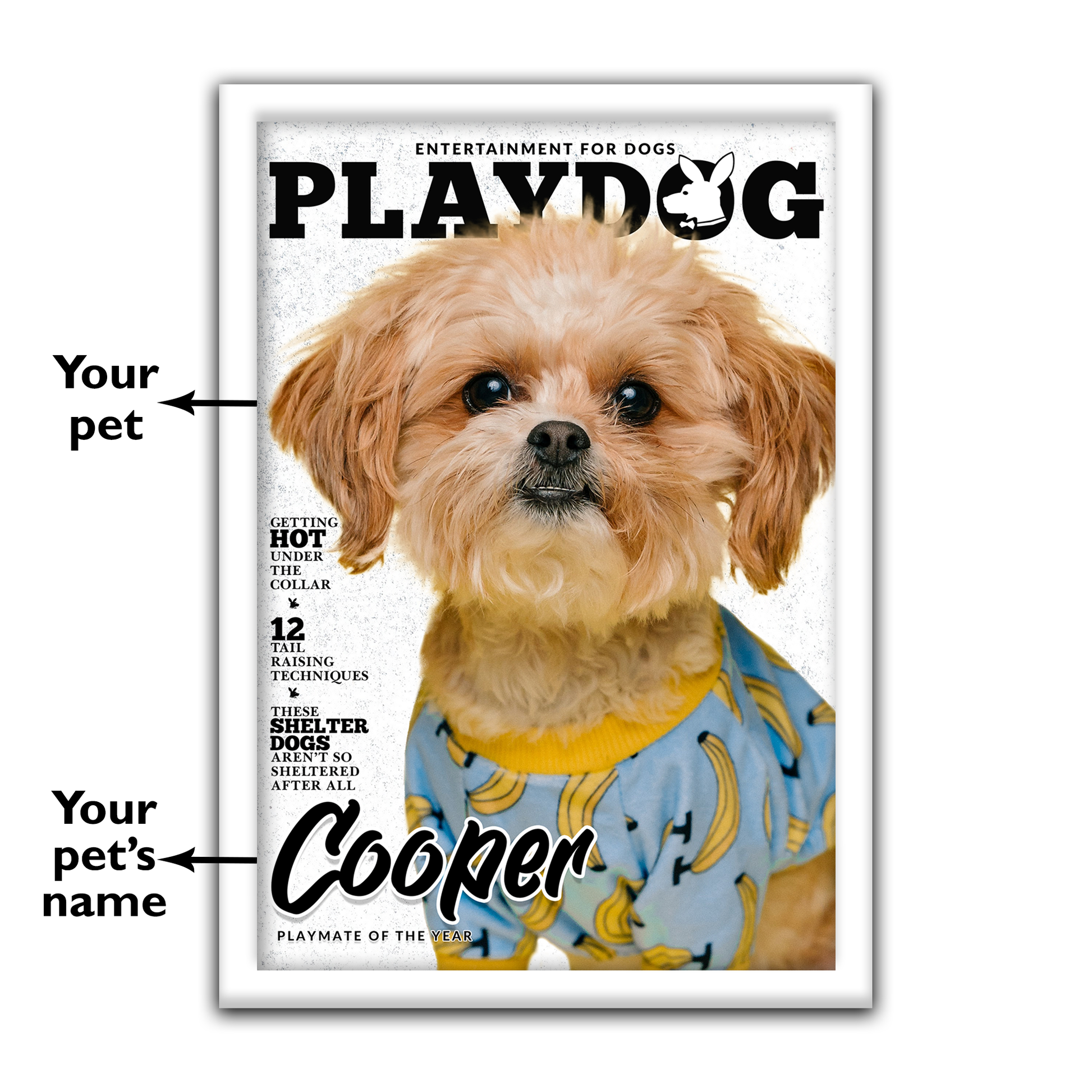Playdog - Custom Dog Magazine – My Perfect Poster